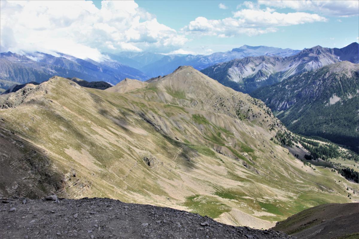 Aan de schrale plantenbegroeiing zien we hoe hoog de Col de la Bonette wel is.