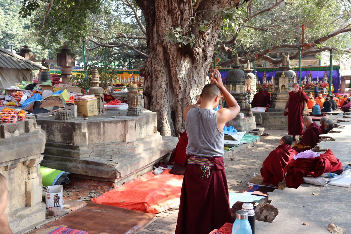 Biddende bedevaarder onder de Bodhiboom.