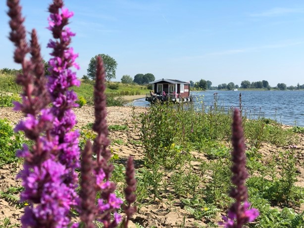 De blokhutboot rust in de Lithse Ham, tussen de bloemen en planten.