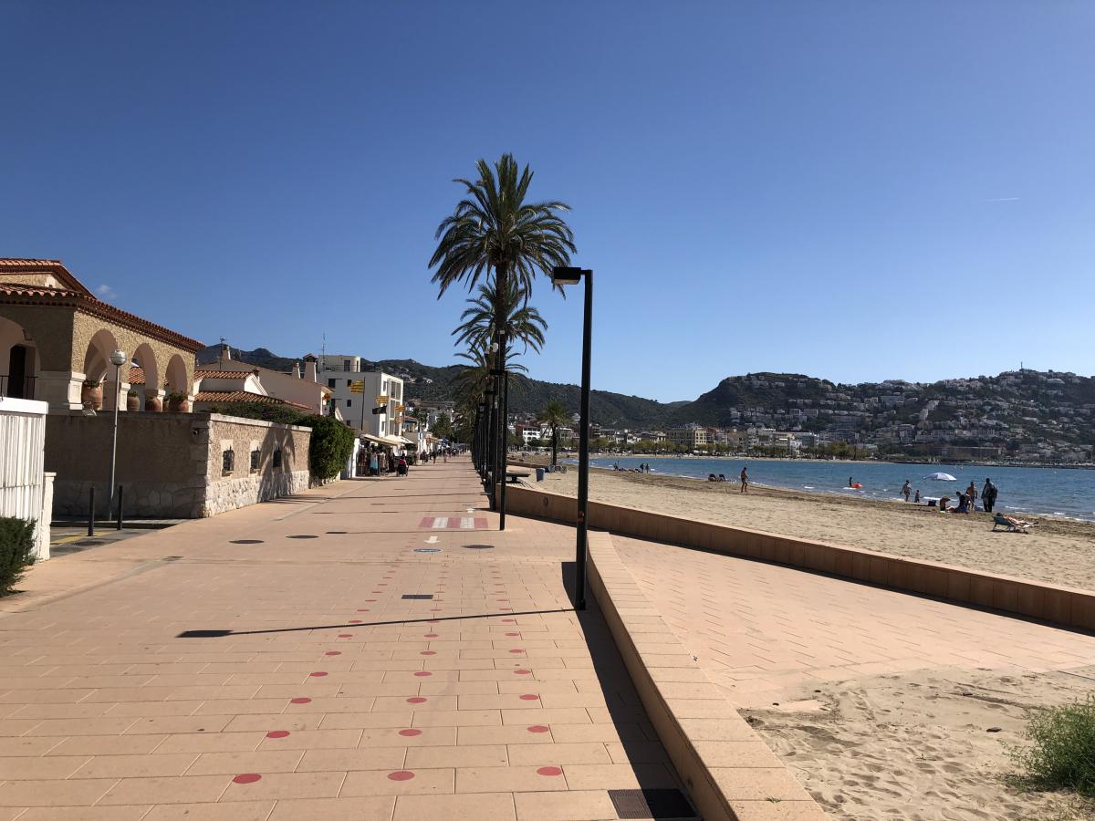 Wandelboulevard langs het strand, met palmbomen.