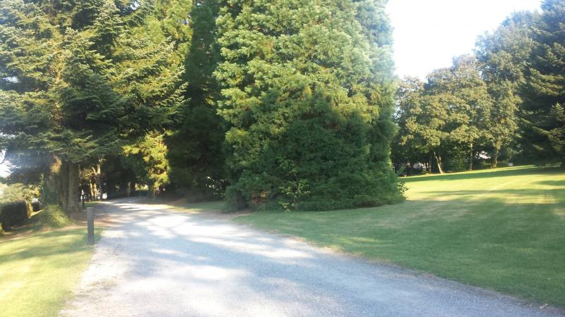 Buitenomgeving