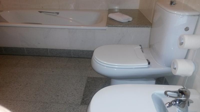 Toilet zonder steunbeugels, tussen ligbad en bidet.