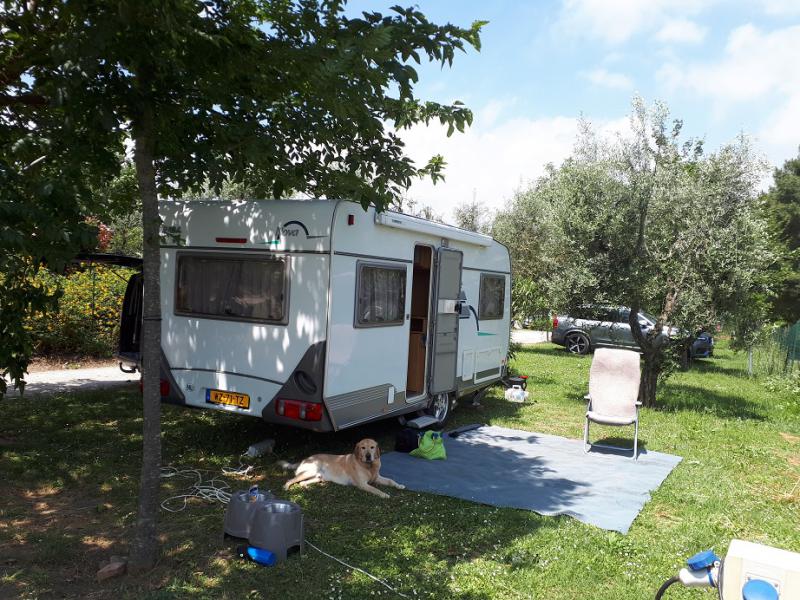 Assistentiehond Toto (een blonde labrador) rust naast de caravan.