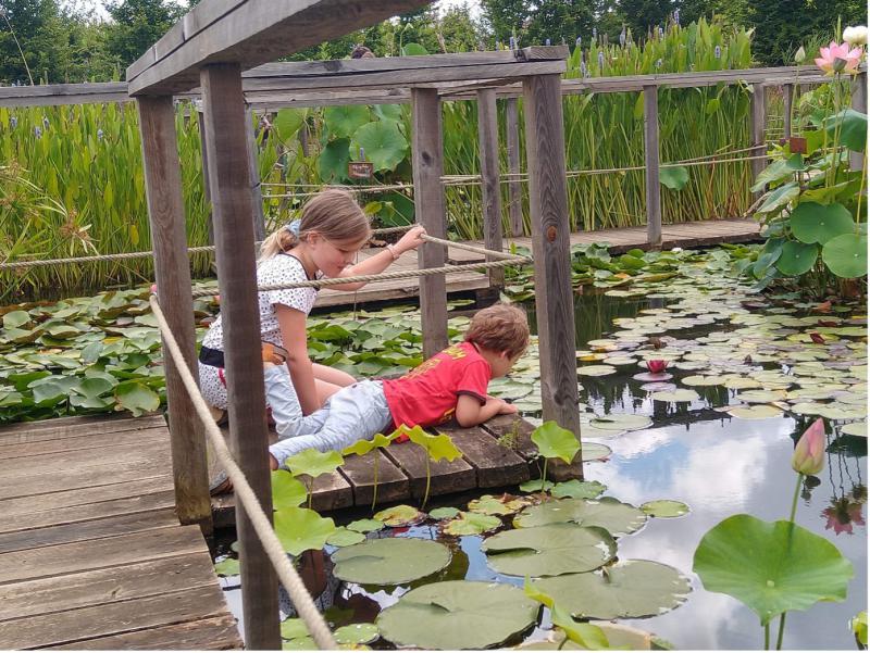 De kinderen zitten op een houten steigertje aan de rand van een vijver in Carsac.