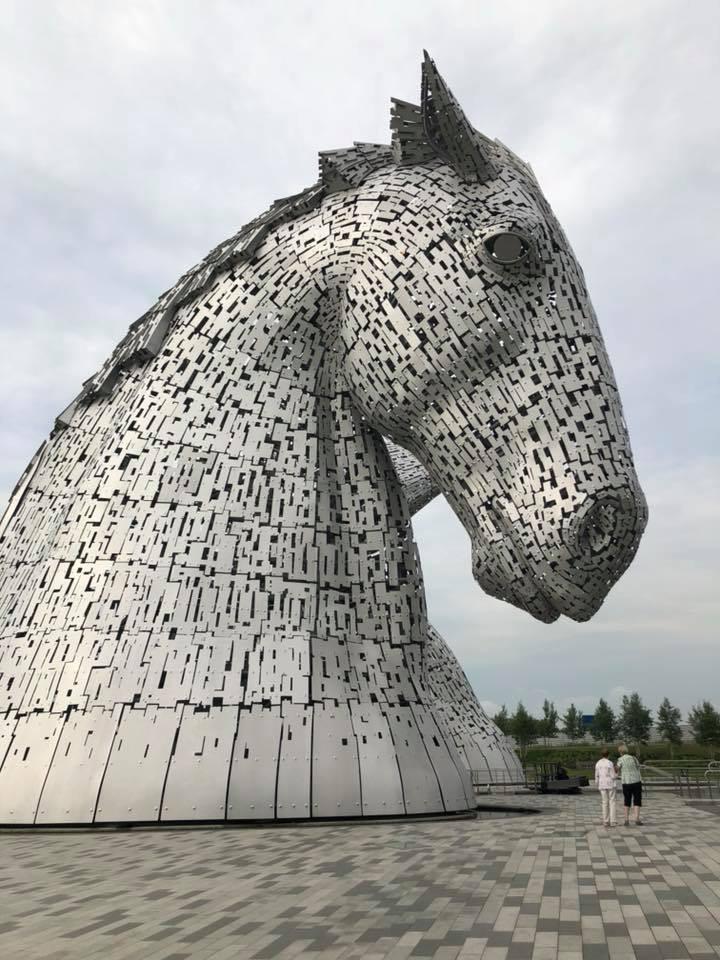 Kelpie: reusachtige paardenkop