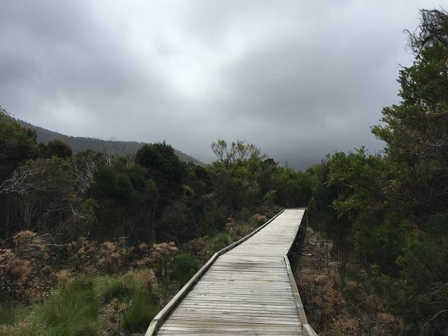 Een vlak houten vlonderpad loopt vlak boven het moerassige natuurgebied van Wilson's Promontory.