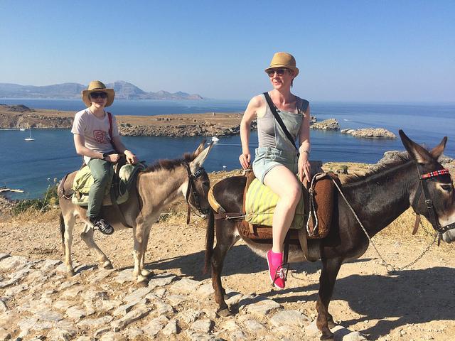 Ezelrit naar de Acropolis van Rhodos, Griekenland | Toegankelijk op reis